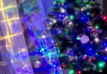 Świąteczne Spotkanie Wigilijne - 2025 rok.